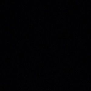 Meet your Posher, Nellie